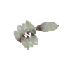 Clean Squid