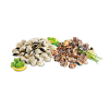 Clam Vietnam