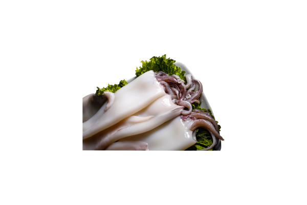 Whole Squid