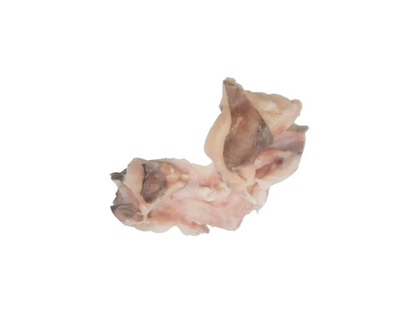 Caras de Bacalhau