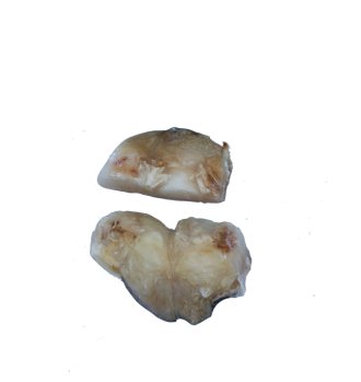 Colares de Bacalhau Demolhado