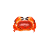 Crab