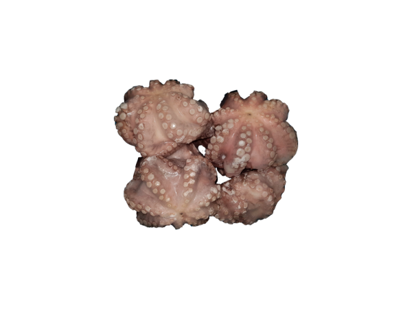 CLEAN OCTOPUS - FLOWER
