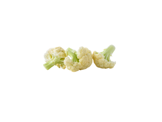Couve Flor - Mar Ibérica