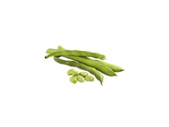 Feijão Verde - Mar Ibérica