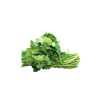 Turnip Greens - Mar Ibérica